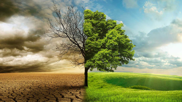 Read more about the article Abundant Life